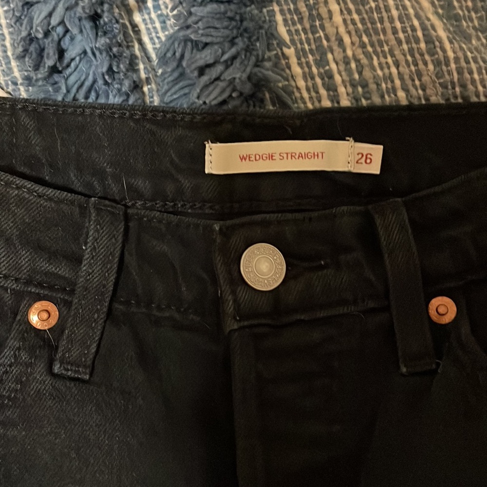 Levi bundle - Picture 2 of 7